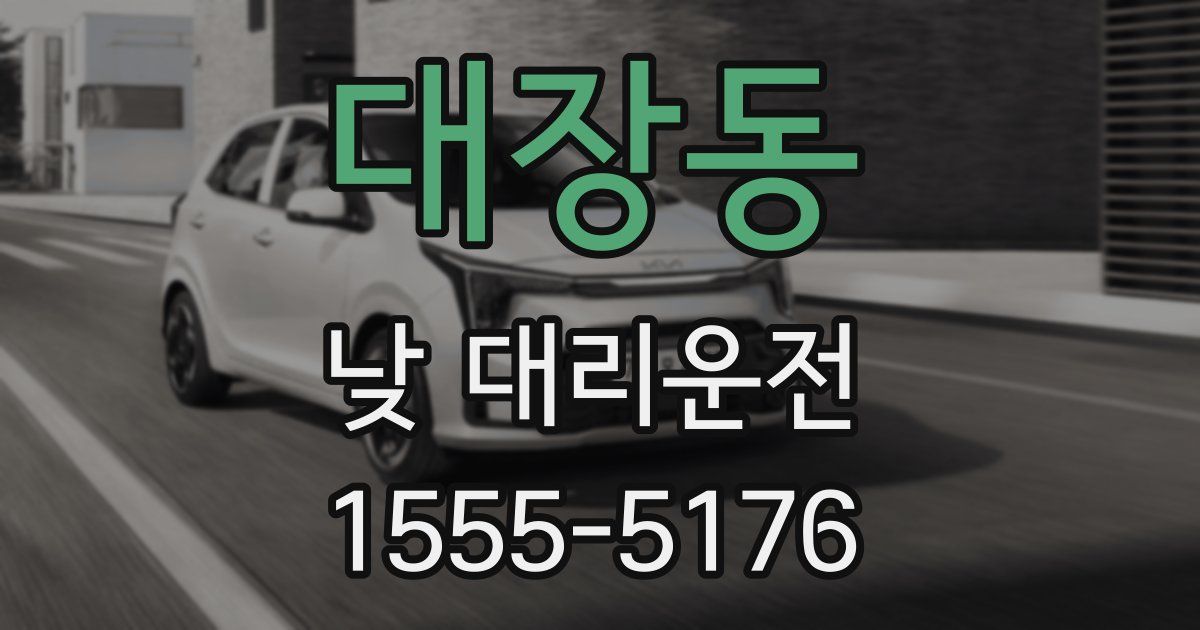 대장동 낮 대리운전