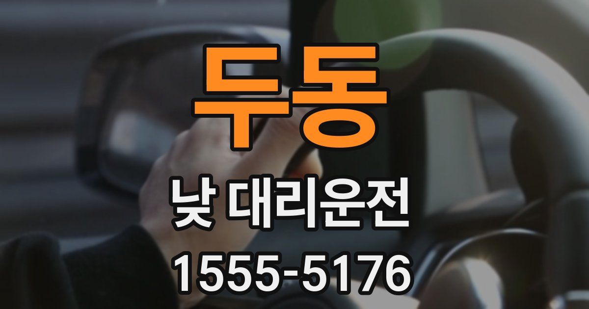 두동 낮 대리운전