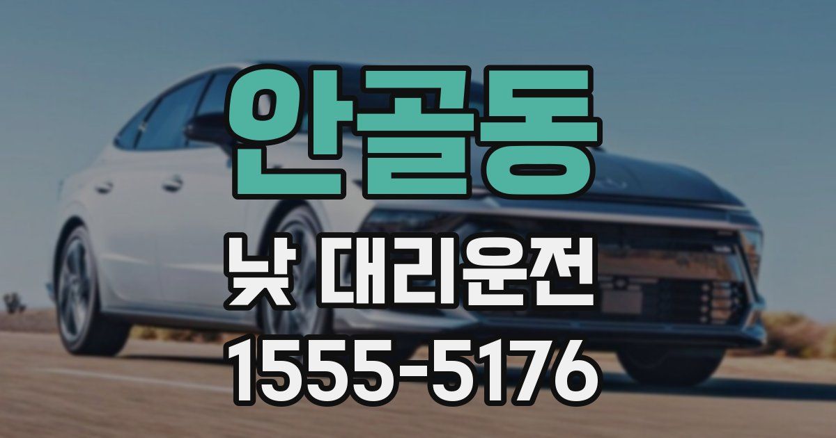 안골동 낮 대리운전
