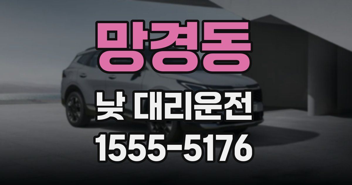 망경동 낮 대리운전