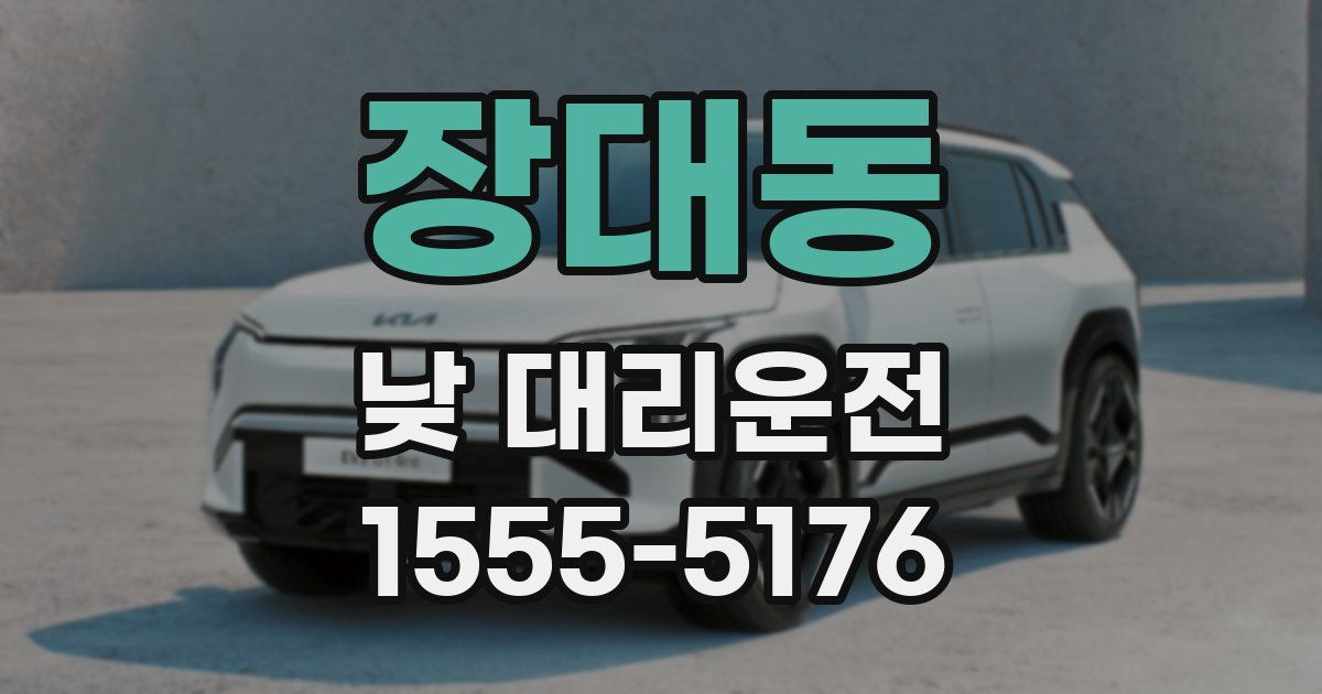 장대동 낮 대리운전