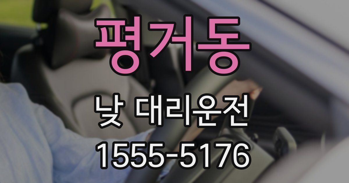 평거동 낮 대리운전