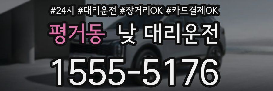평거동 낮 대리운전