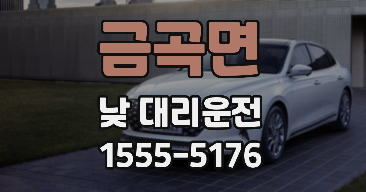 금곡면 낮 대리운전