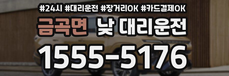 금곡면 낮 대리운전
