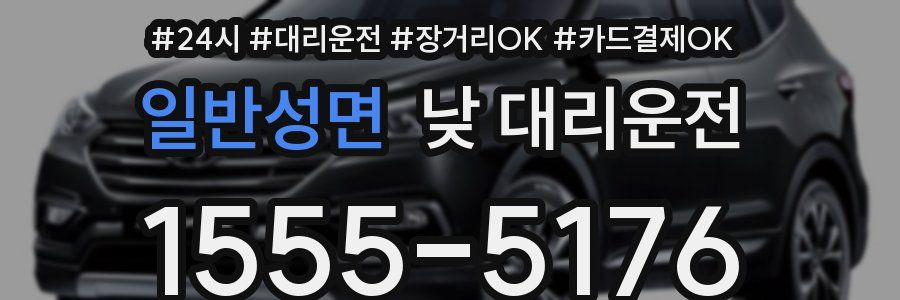 일반성면 낮 대리운전