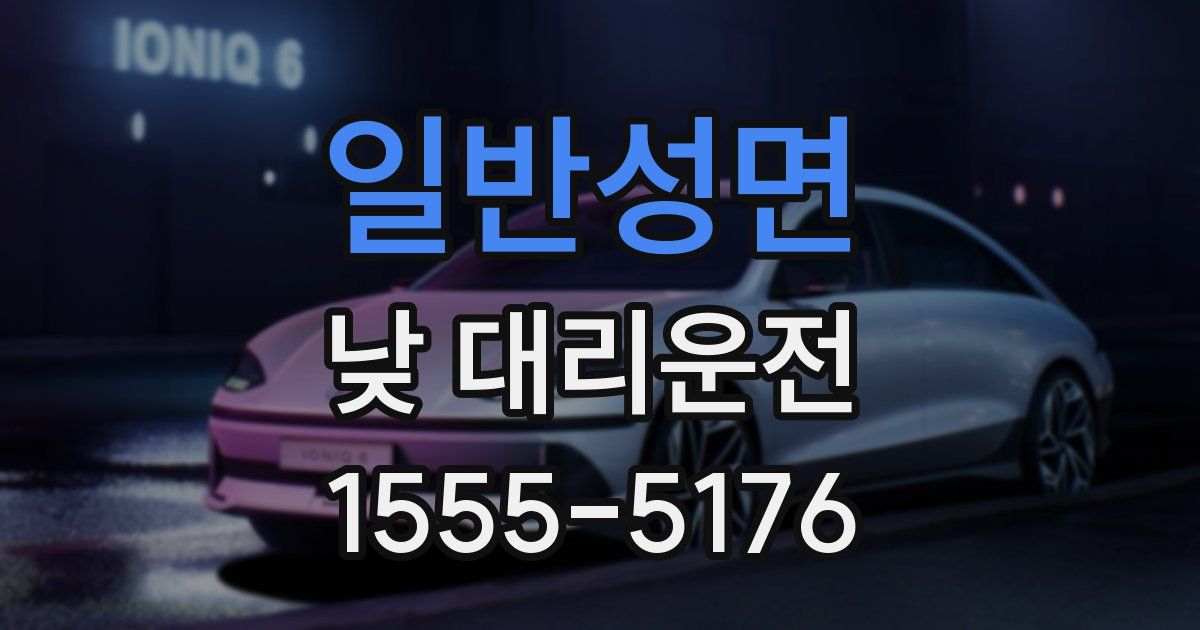 일반성면 낮 대리운전