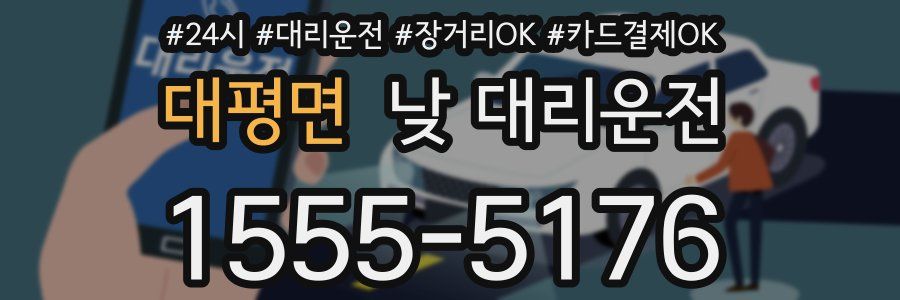 대평면 낮 대리운전