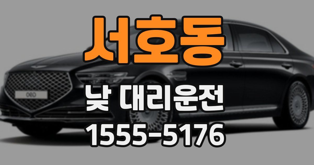 서호동 낮 대리운전