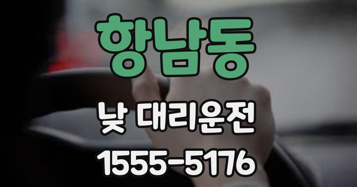 항남동 낮 대리운전
