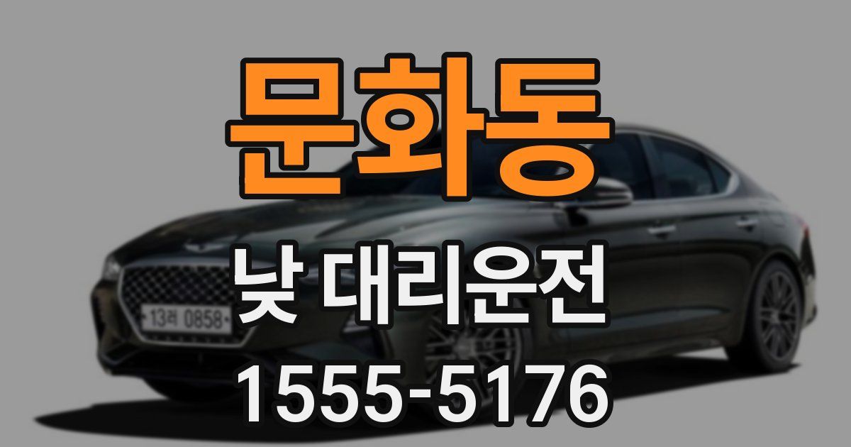 문화동 낮 대리운전