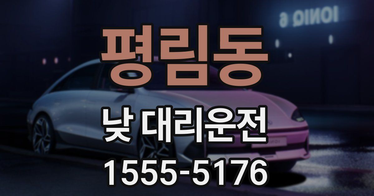 평림동 낮 대리운전