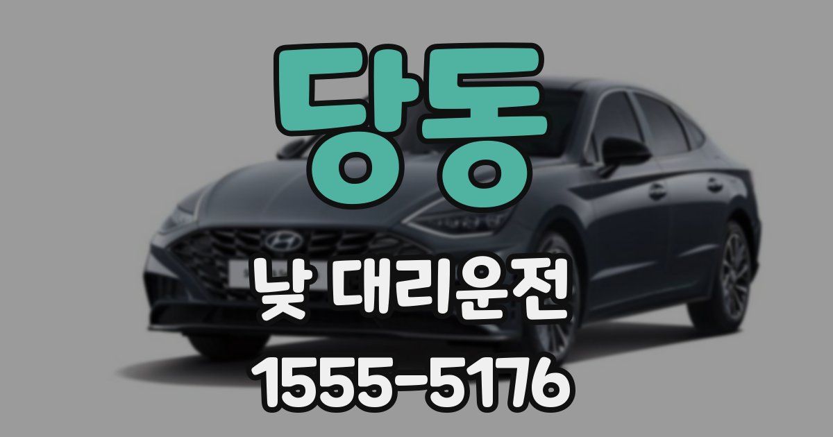 당동 낮 대리운전