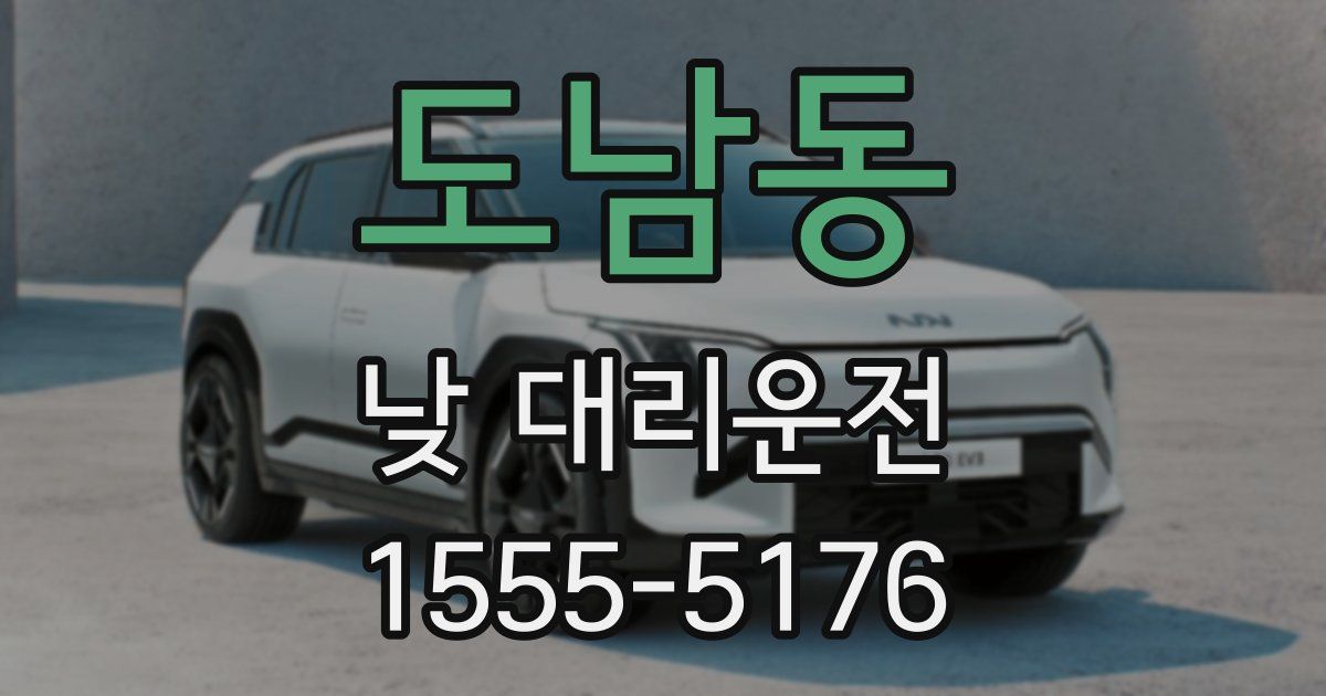 도남동 낮 대리운전