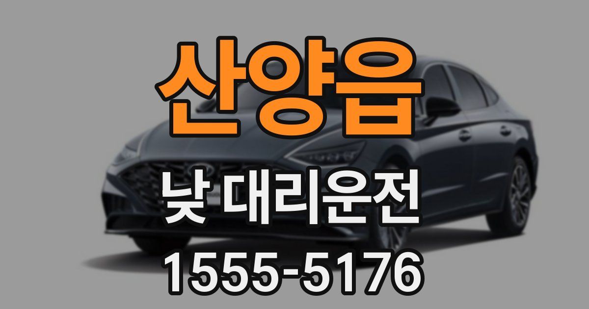 산양읍 낮 대리운전