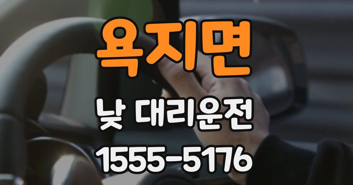 욕지면 낮 대리운전