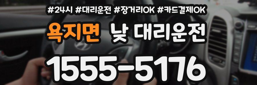 욕지면 낮 대리운전