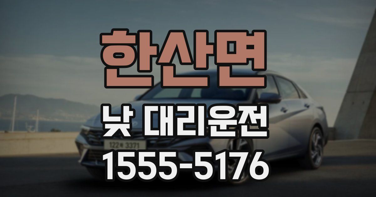 한산면 낮 대리운전