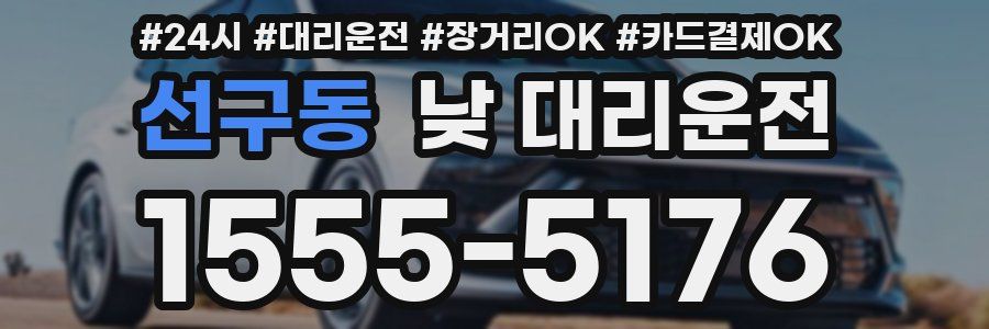 선구동 낮 대리운전