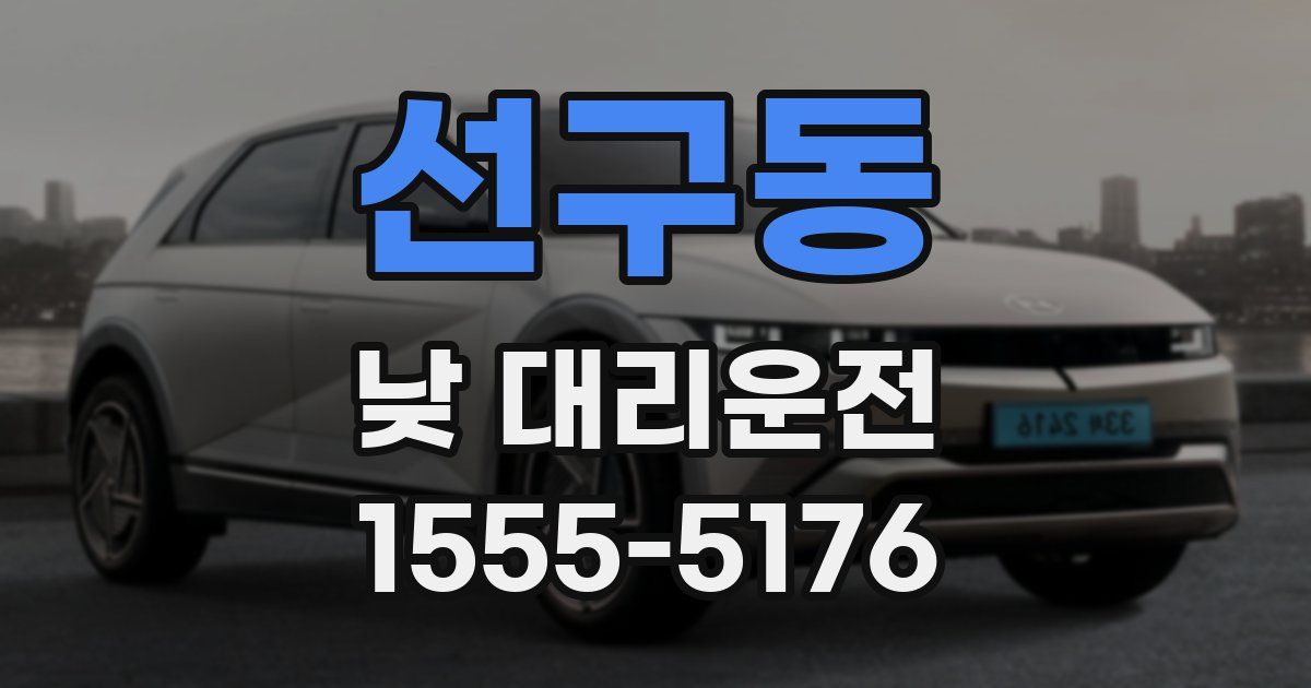 선구동 낮 대리운전