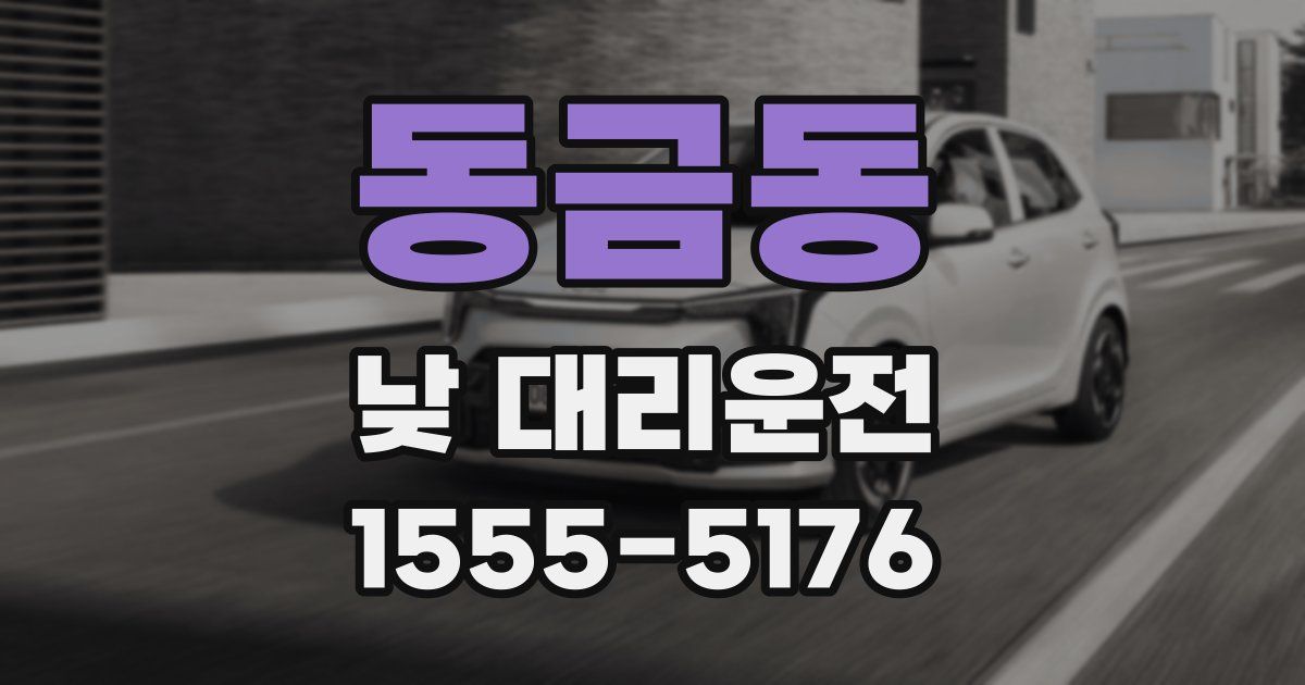 동금동 낮 대리운전