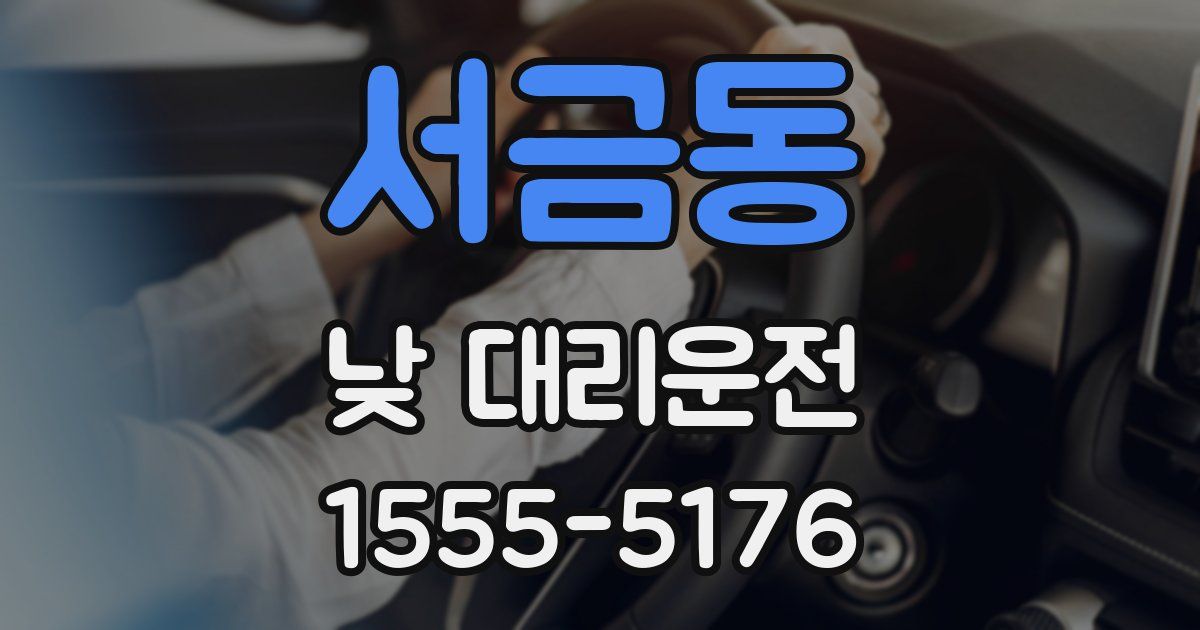 서금동 낮 대리운전