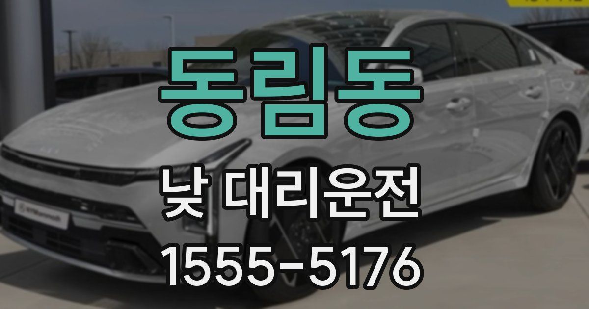 동림동 낮 대리운전