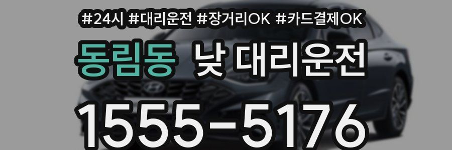 동림동 낮 대리운전