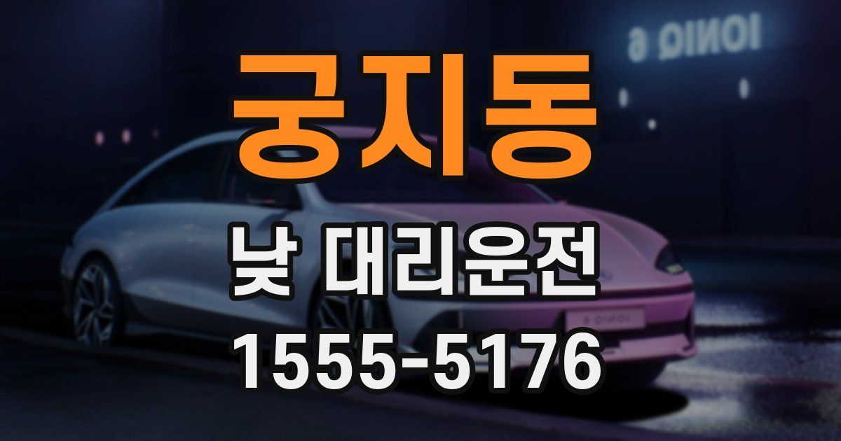 궁지동 낮 대리운전