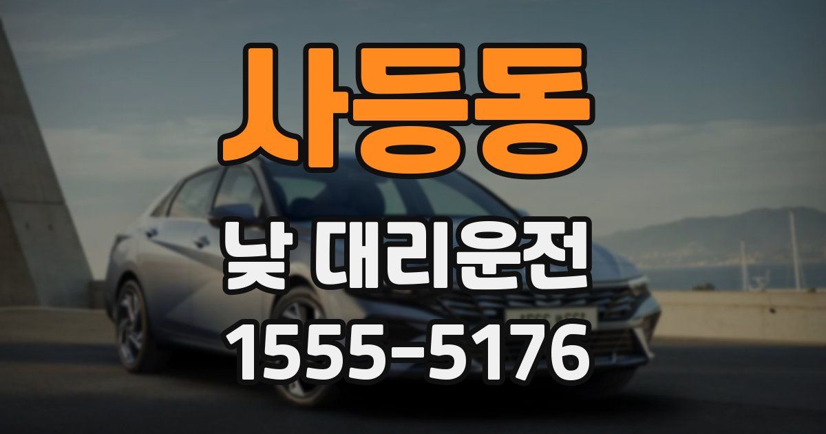 사등동 낮 대리운전