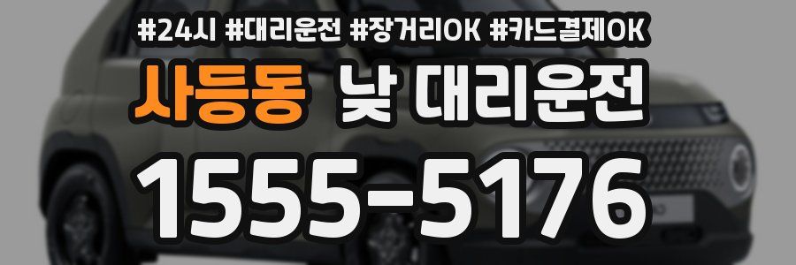 사등동 낮 대리운전