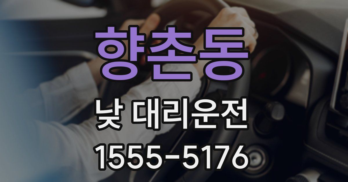 향촌동 낮 대리운전