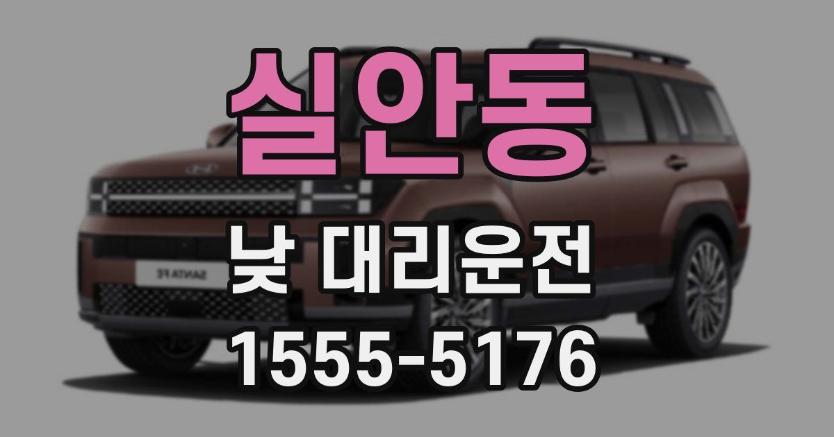 실안동 낮 대리운전