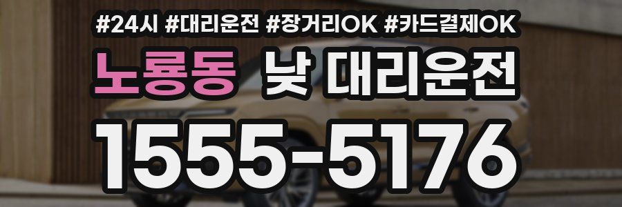 노룡동 낮 대리운전