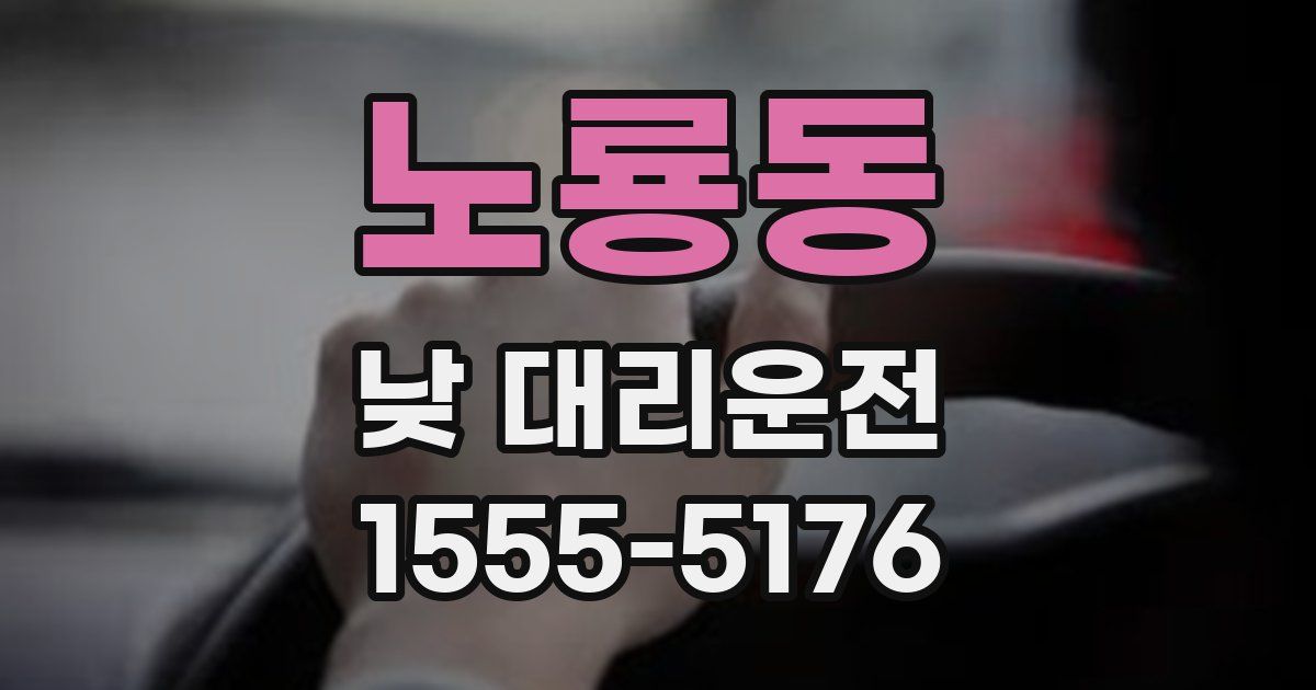 노룡동 낮 대리운전