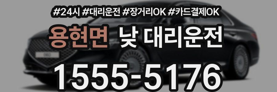 용현면 낮 대리운전