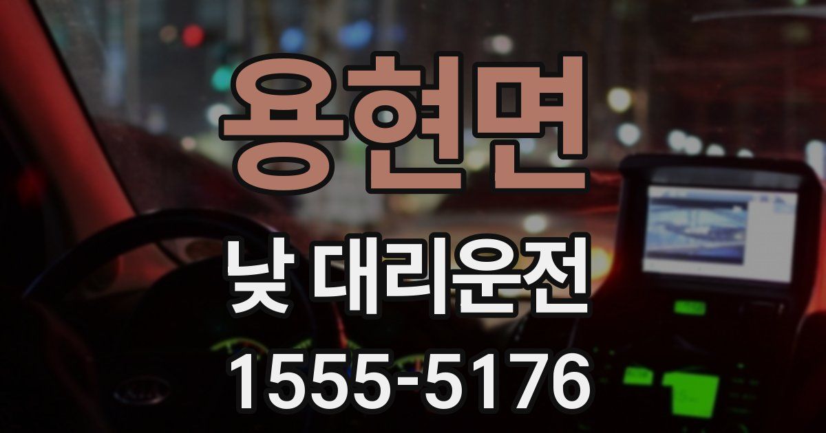 용현면 낮 대리운전
