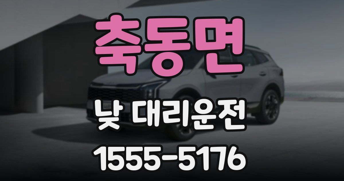 축동면 낮 대리운전