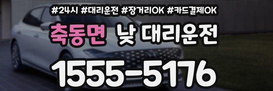 축동면 낮 대리운전