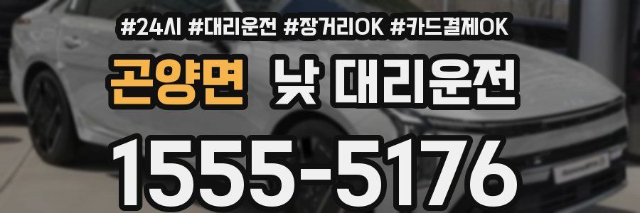 곤양면 낮 대리운전