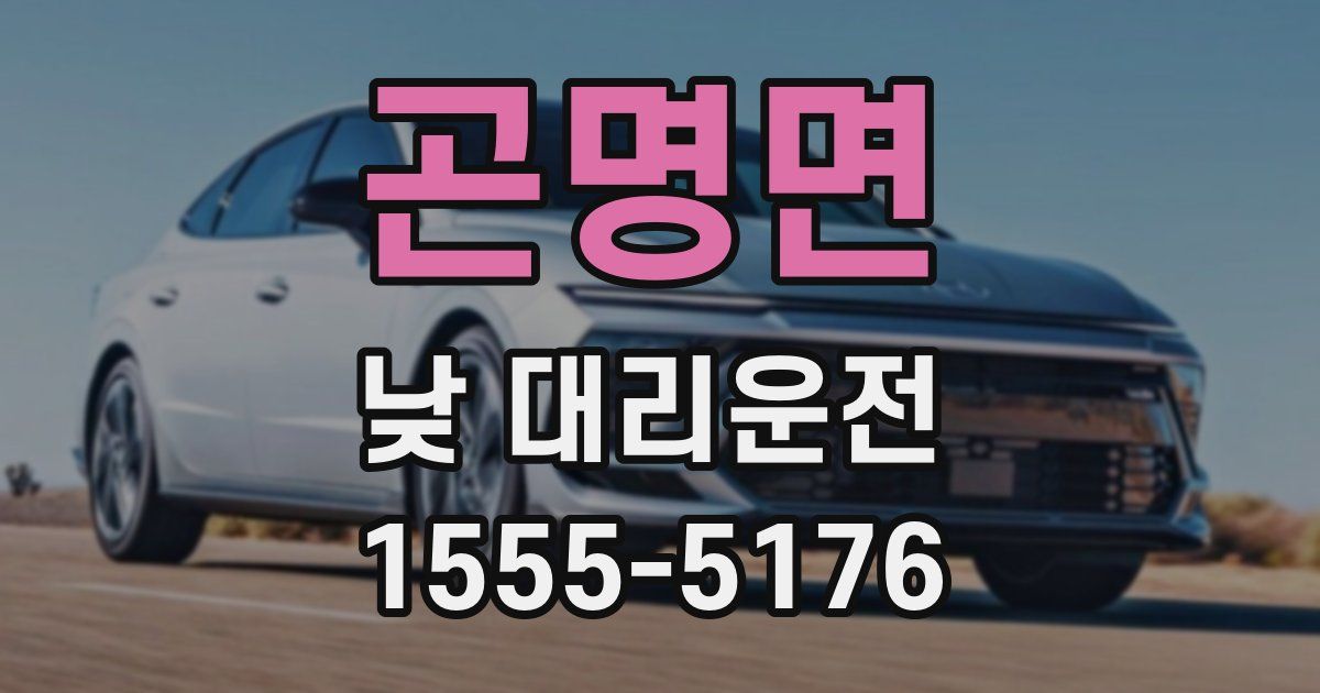 곤명면 낮 대리운전