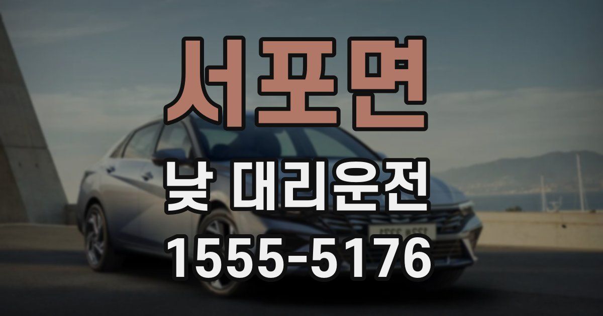 서포면 낮 대리운전