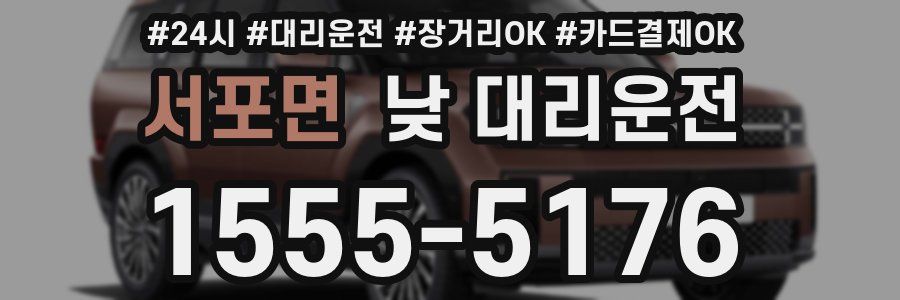 서포면 낮 대리운전