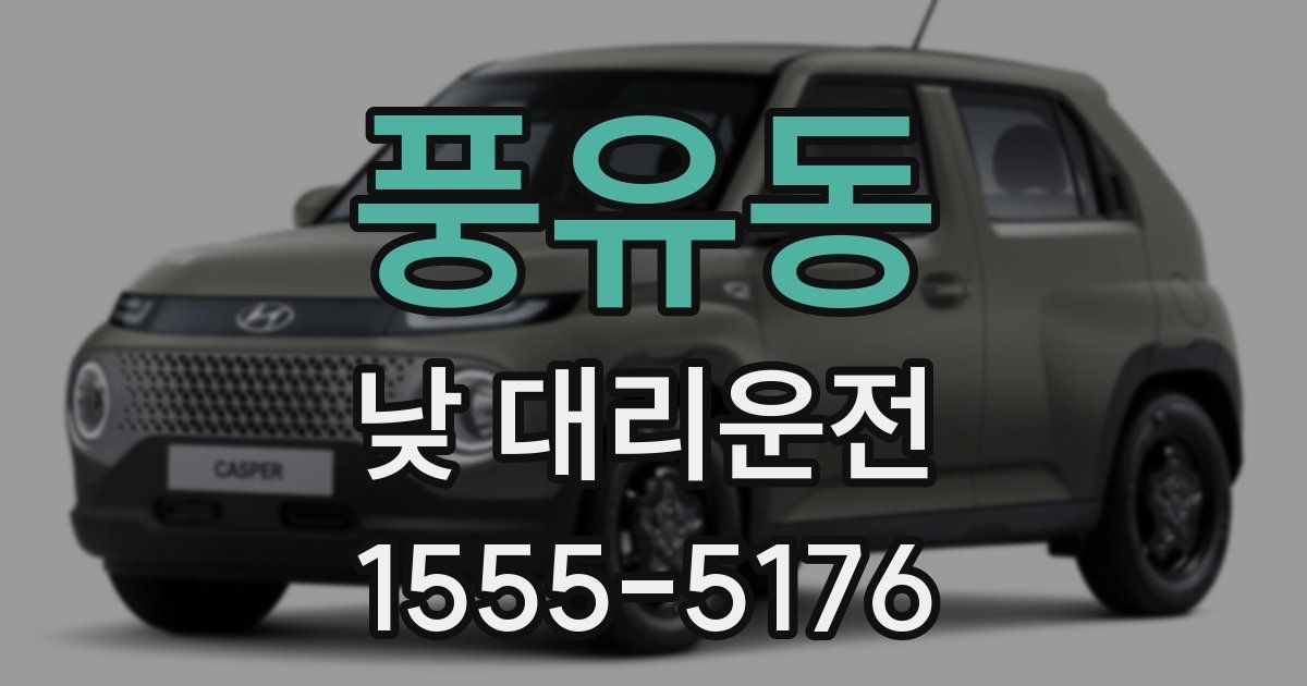 풍유동 낮 대리운전