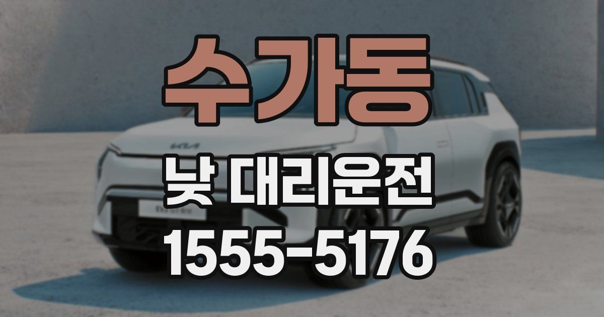 수가동 낮 대리운전