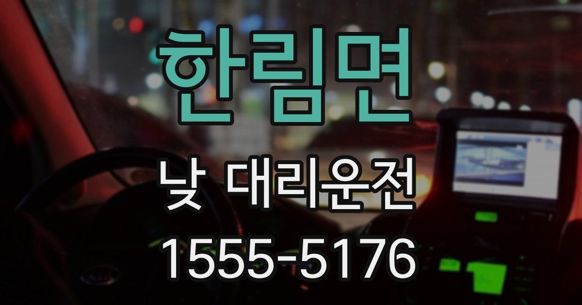 한림면 낮 대리운전