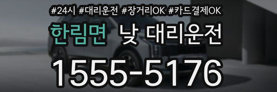 한림면 낮 대리운전