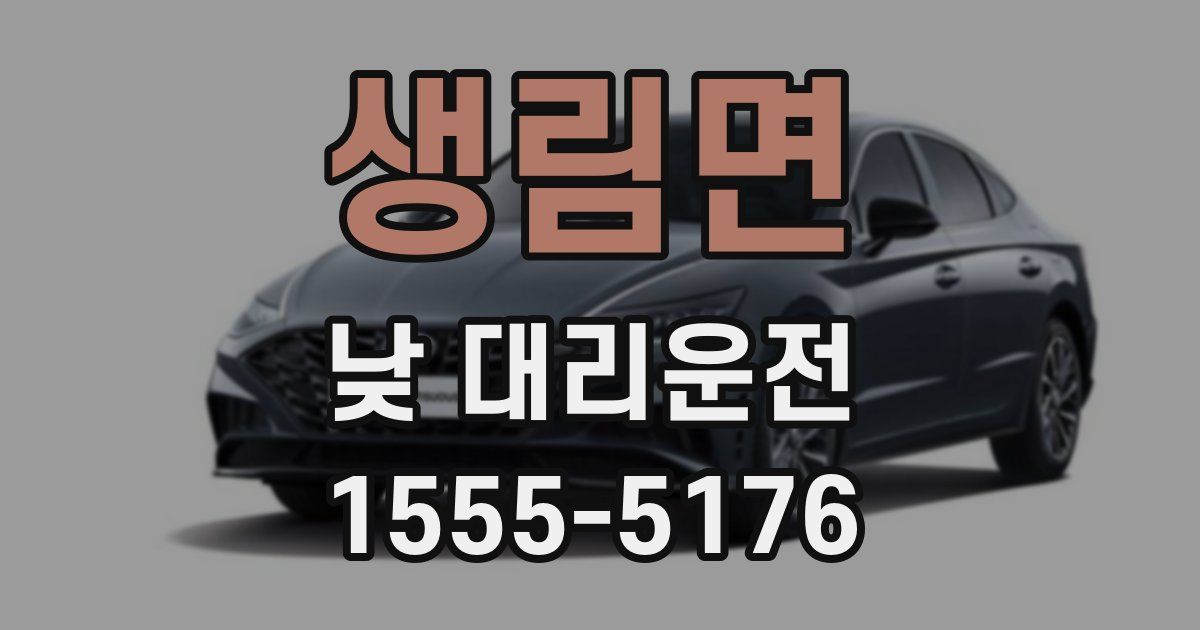 생림면 낮 대리운전