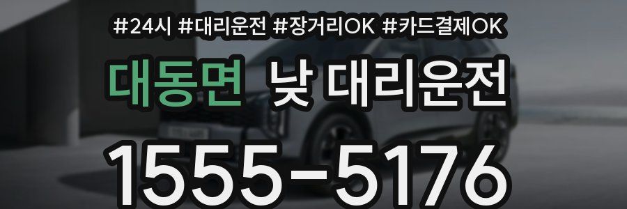 대동면 낮 대리운전