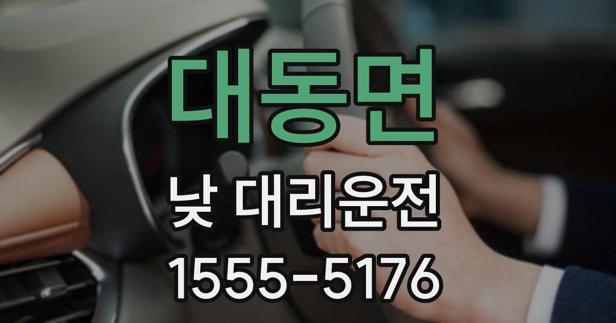 대동면 낮 대리운전